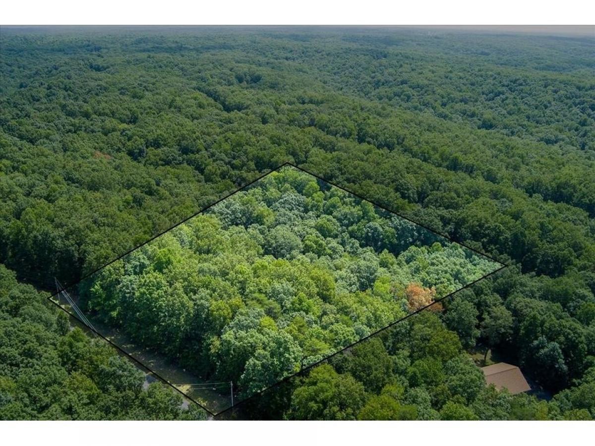 Picture of Residential Land For Sale in Monterey, Tennessee, United States