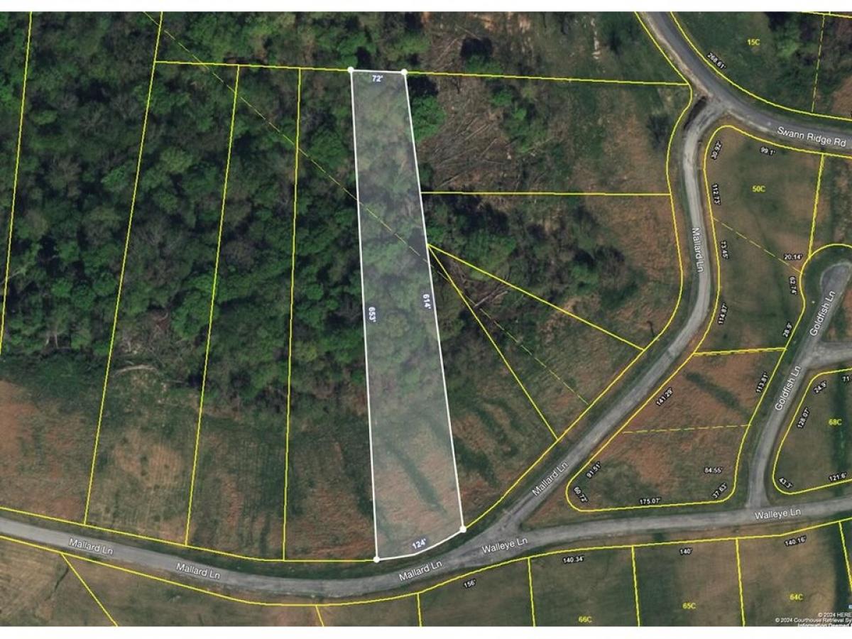 Picture of Residential Land For Sale in Hilham, Tennessee, United States