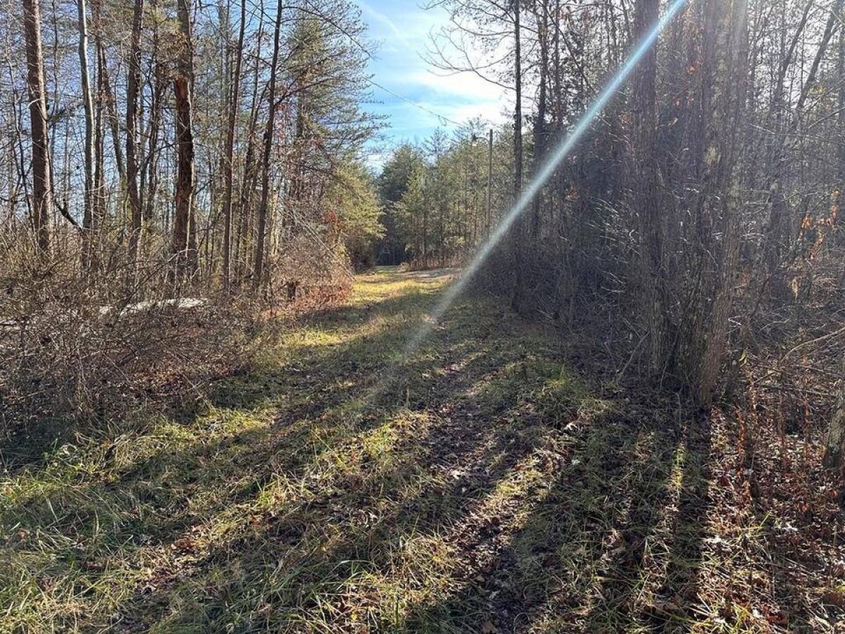 Picture of Residential Land For Sale in Robbins, Tennessee, United States