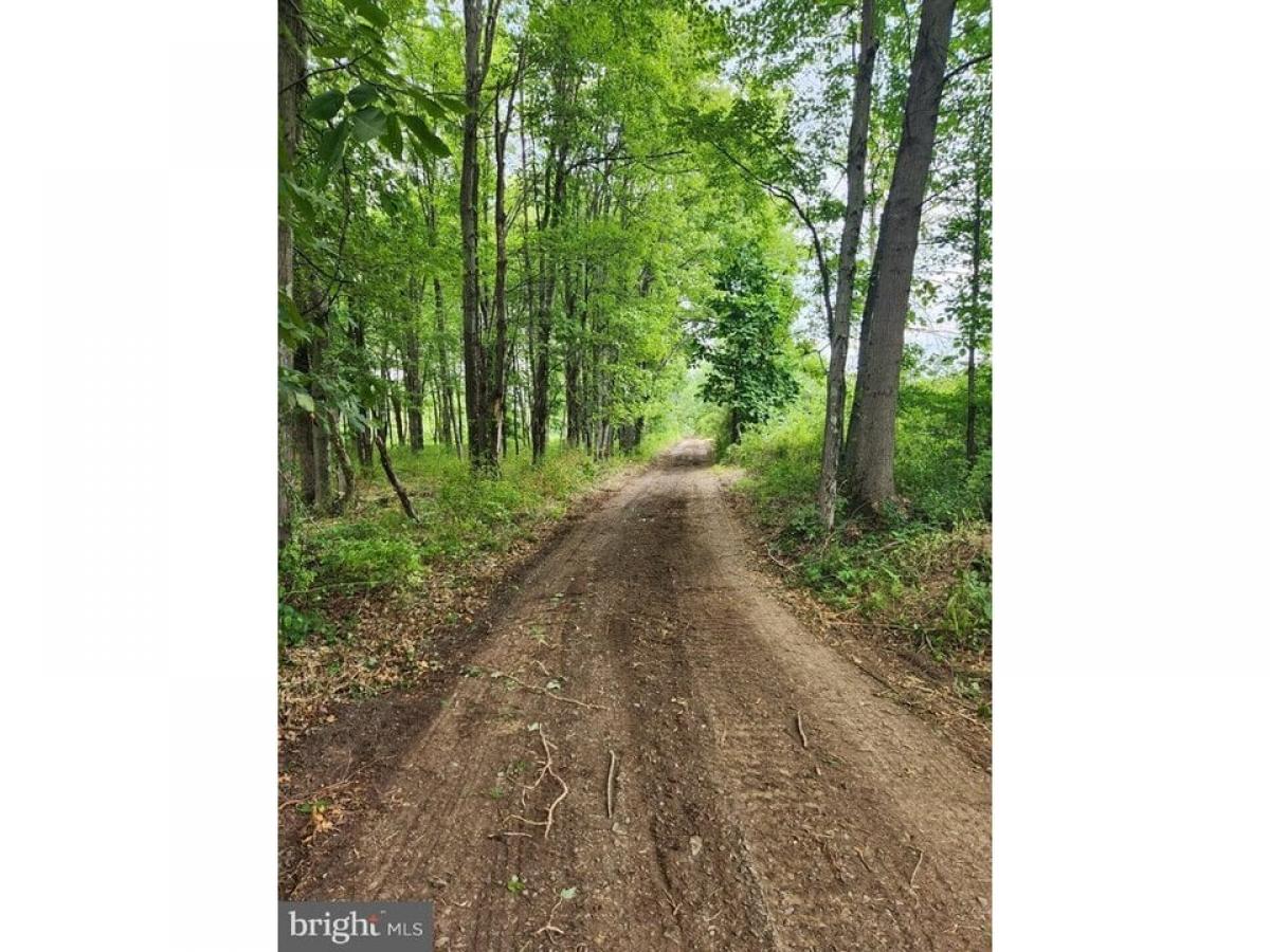 Picture of Residential Land For Sale in Pipersville, Pennsylvania, United States