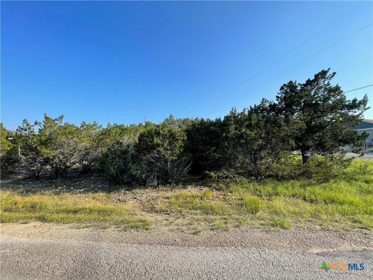 Picture of Residential Land For Sale in Canyon Lake, Texas, United States