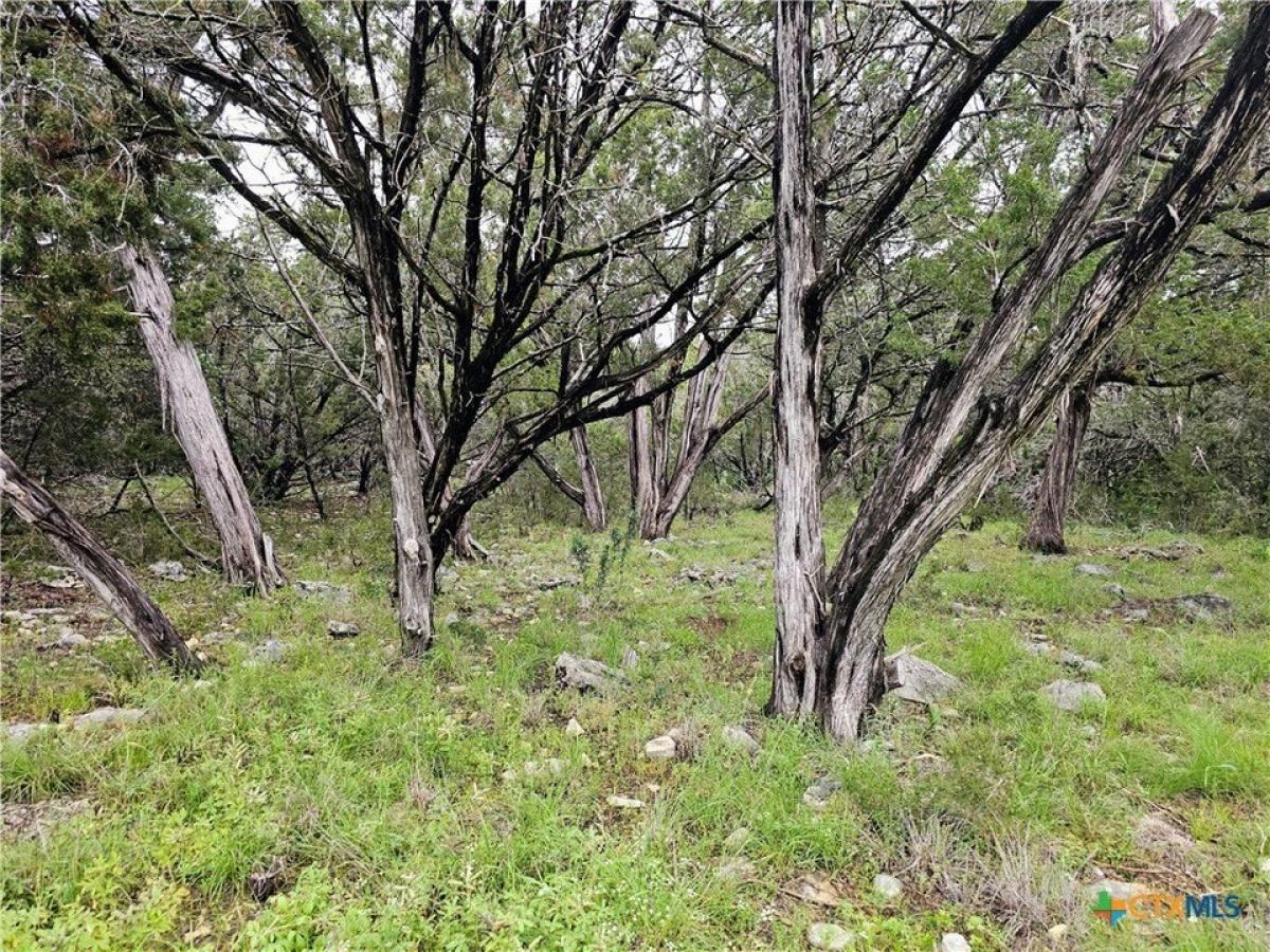 Picture of Residential Land For Sale in Spring Branch, Texas, United States