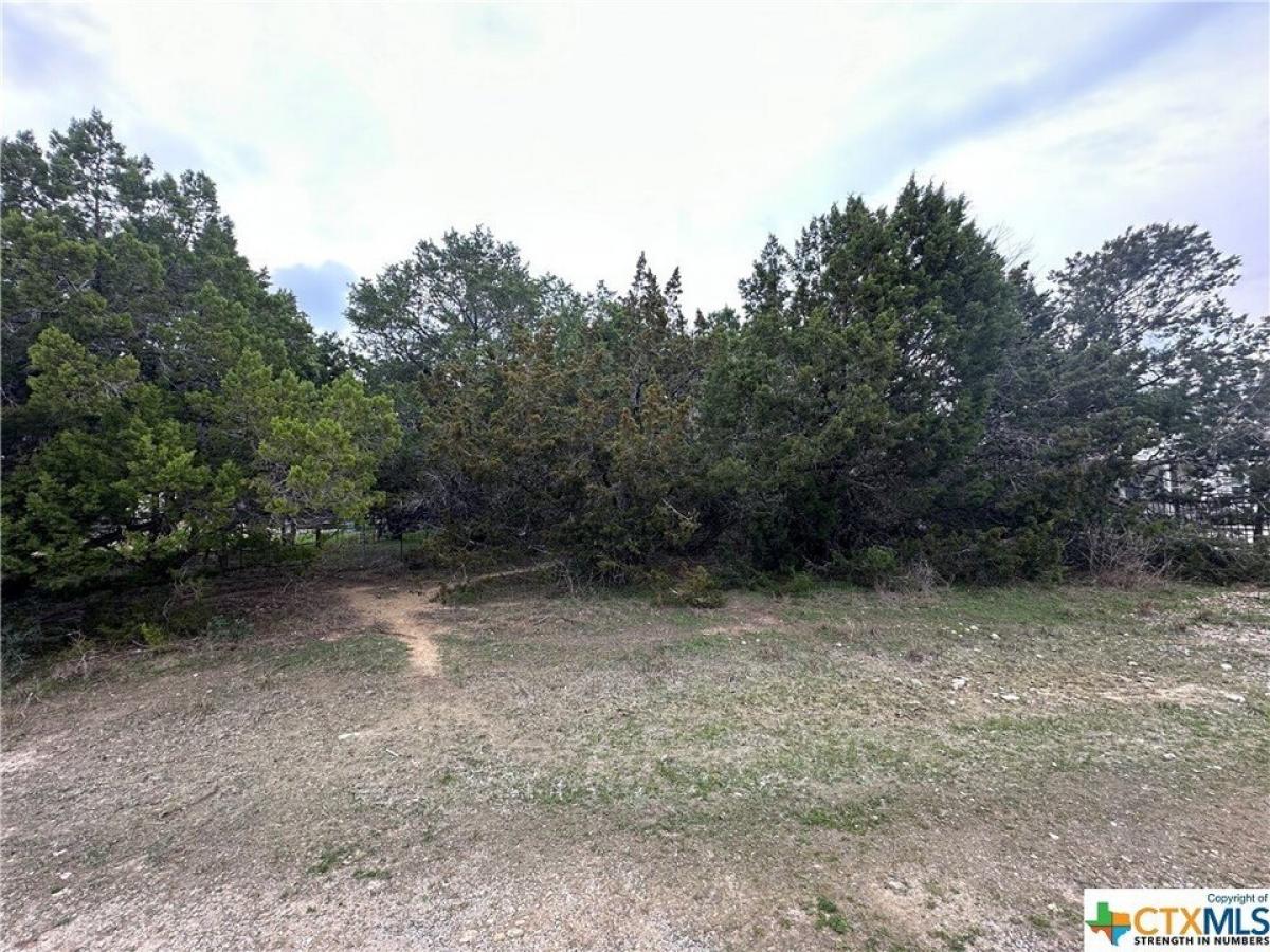 Picture of Residential Land For Sale in Canyon Lake, Texas, United States