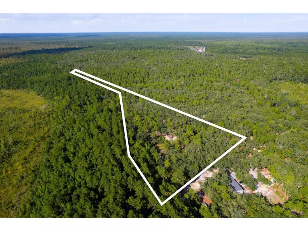 Picture of Residential Land For Sale in Palatka, Florida, United States