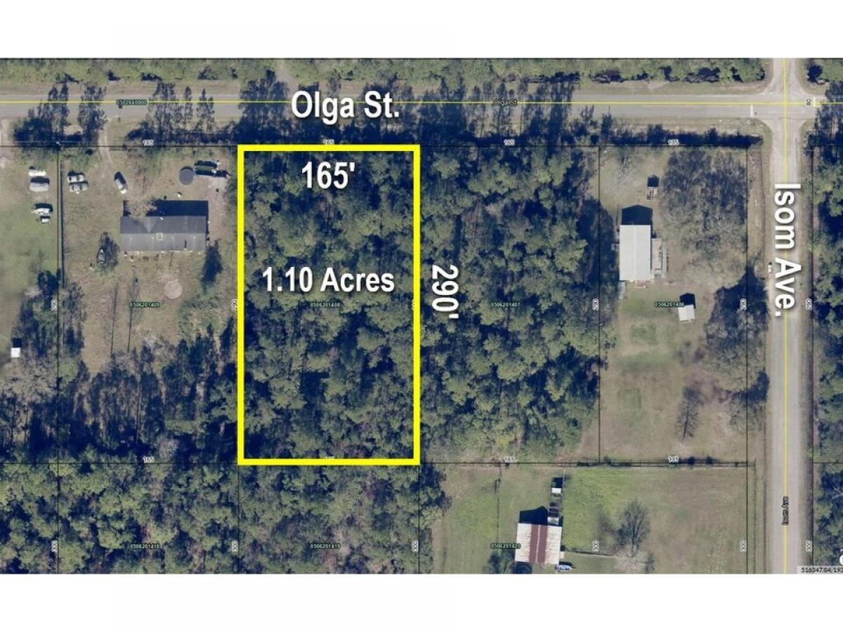 Picture of Residential Land For Sale in Hastings, Florida, United States