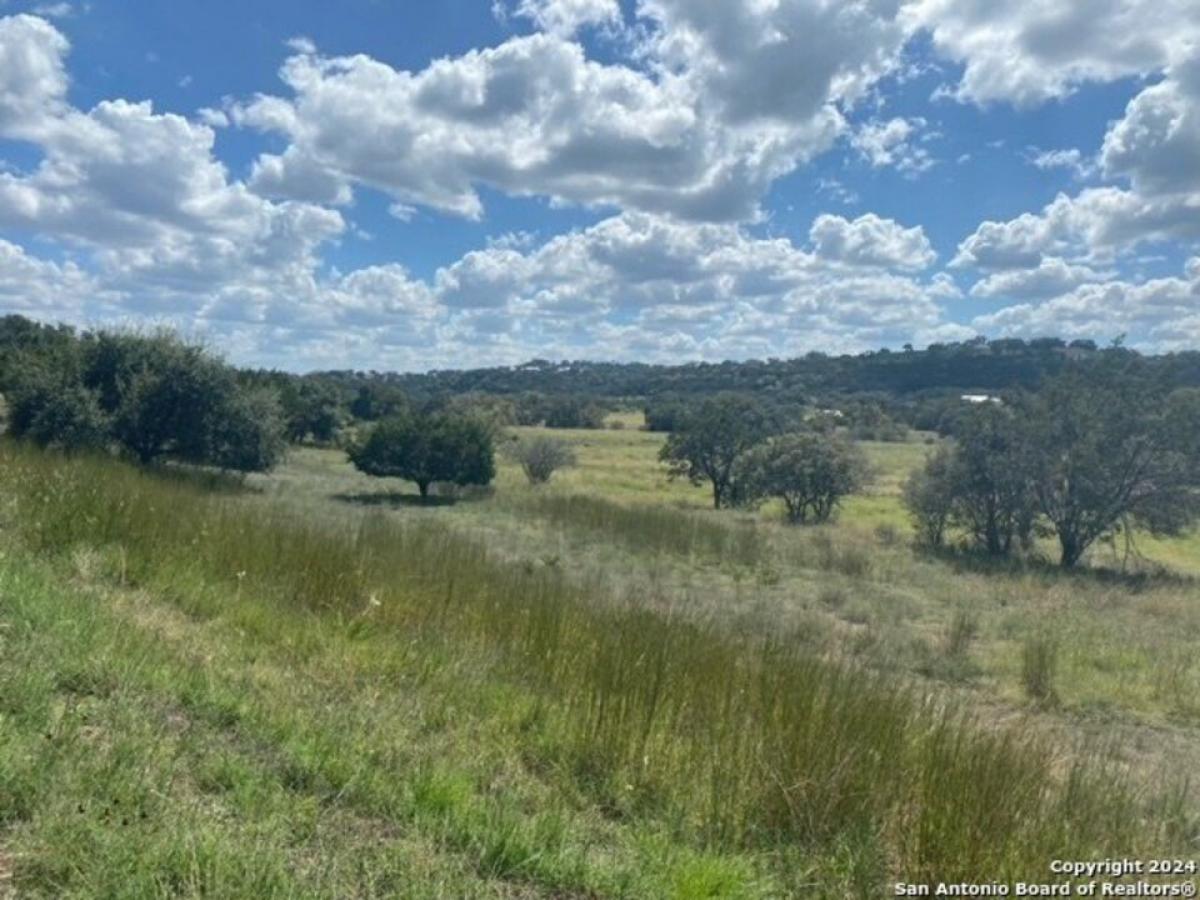 Picture of Residential Land For Sale in Spring Branch, Texas, United States