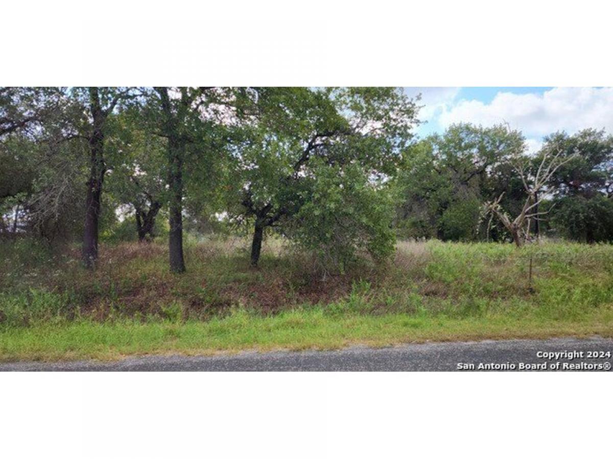 Picture of Residential Land For Sale in Elmendorf, Texas, United States