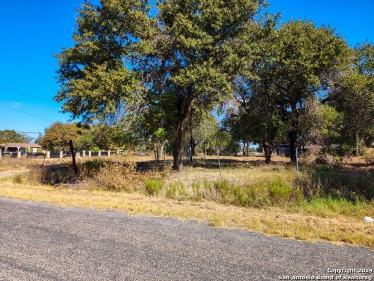 Picture of Residential Land For Sale in Elmendorf, Texas, United States