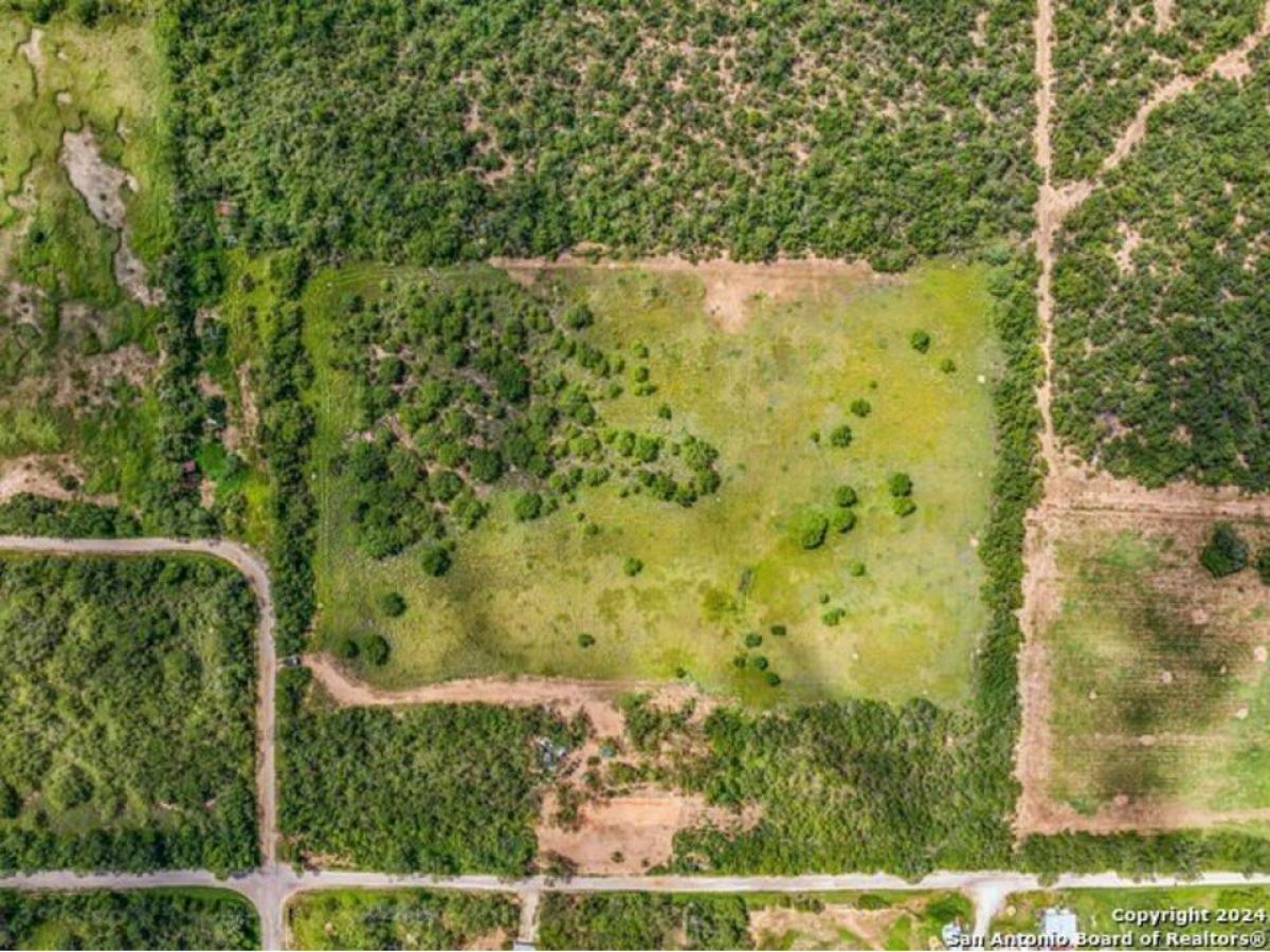 Picture of Residential Land For Sale in Christine, Texas, United States