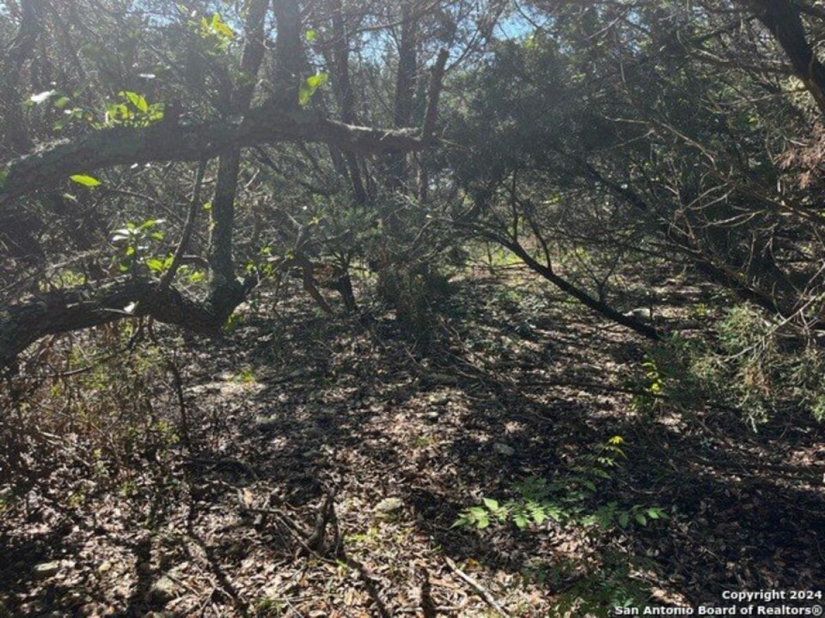 Picture of Residential Land For Sale in Spring Branch, Texas, United States