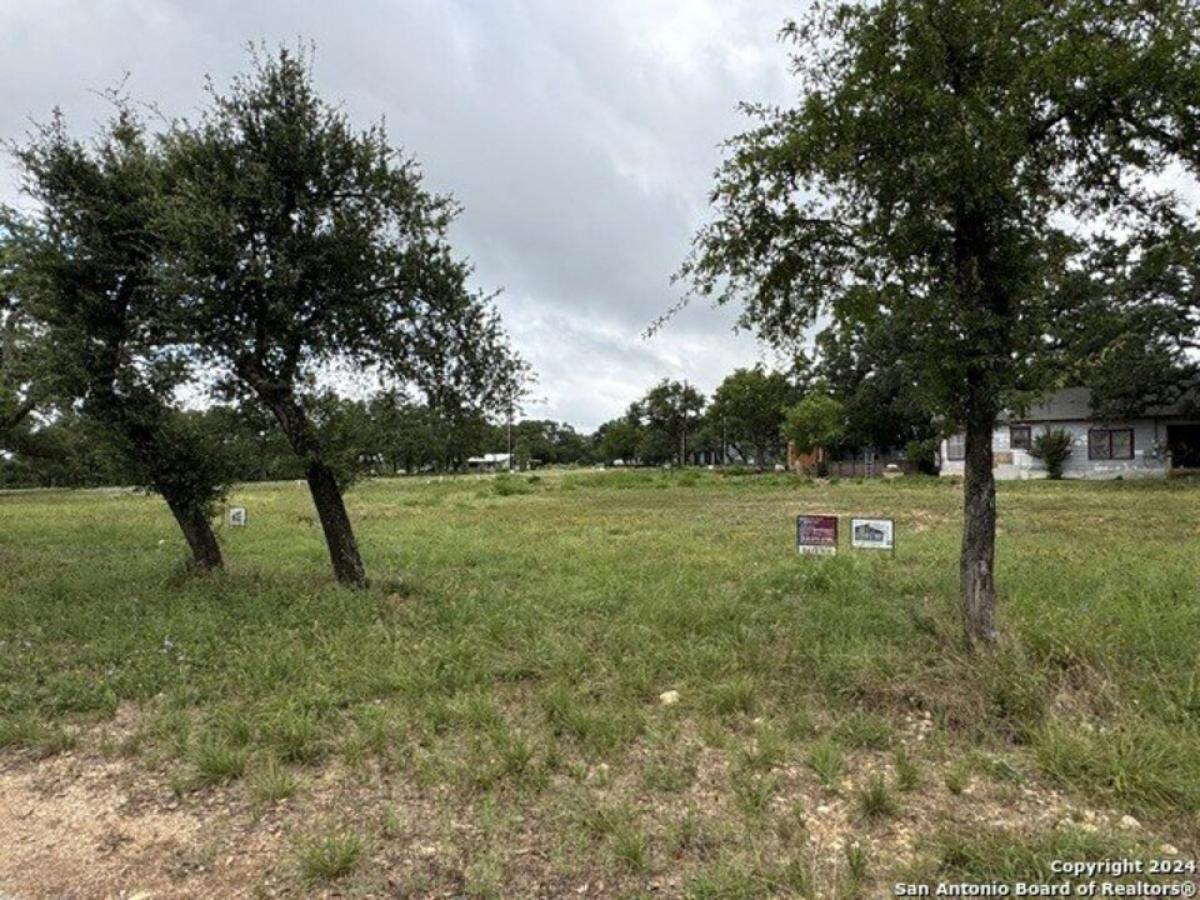 Picture of Residential Land For Sale in Blanco, Texas, United States