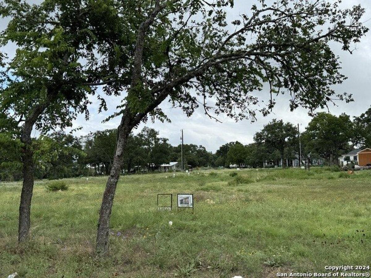 Picture of Residential Land For Sale in Blanco, Texas, United States