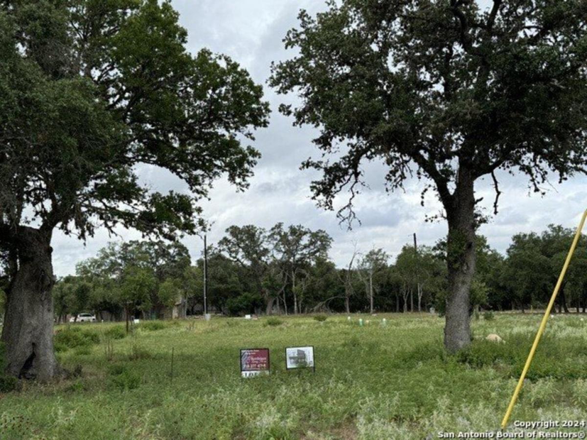 Picture of Residential Land For Sale in Blanco, Texas, United States