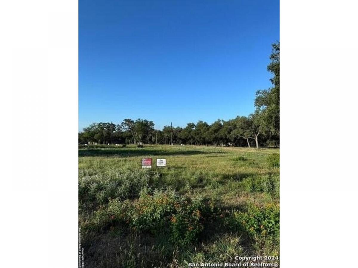 Picture of Residential Land For Sale in Blanco, Texas, United States