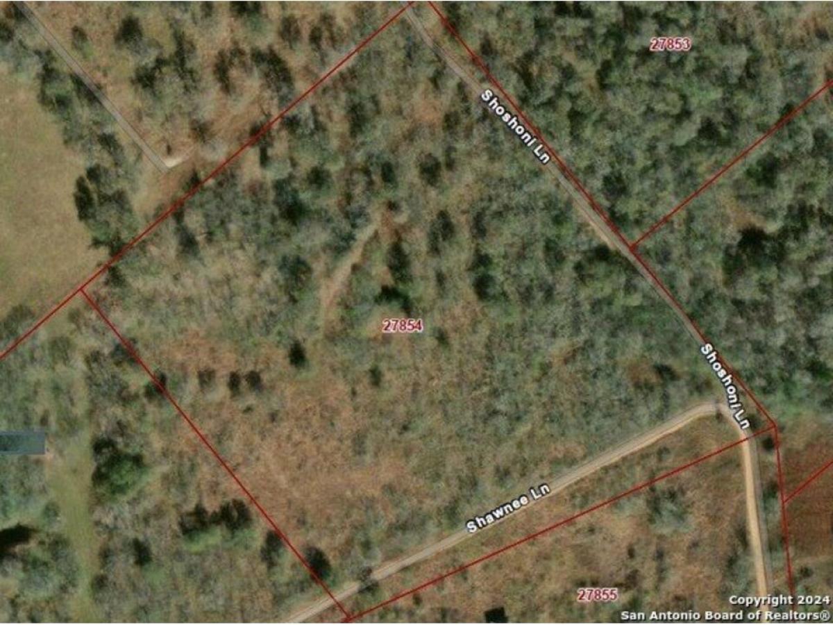 Picture of Residential Land For Sale in Kingsbury, Texas, United States