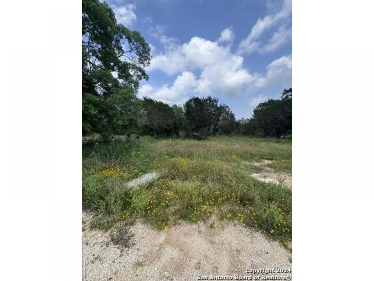 Picture of Residential Land For Sale in Spring Branch, Texas, United States