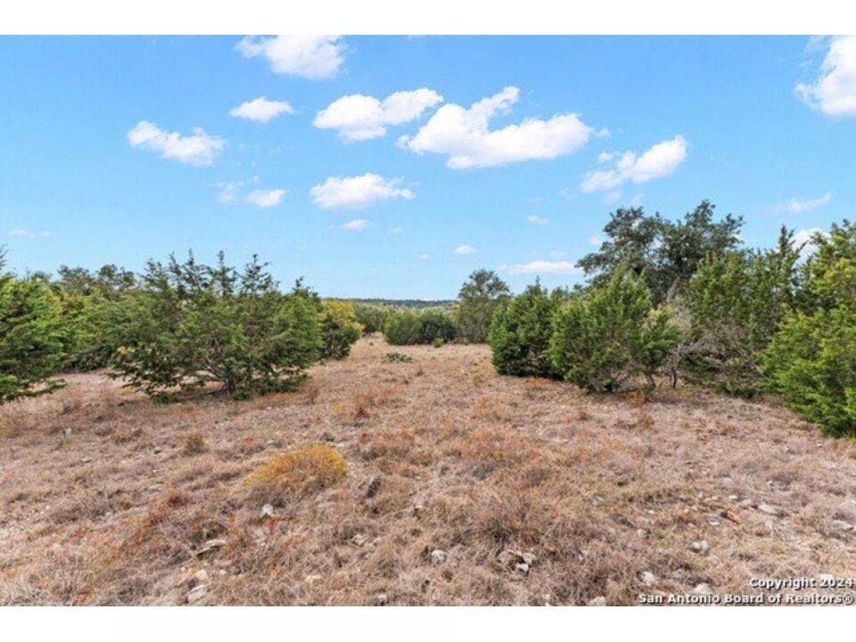 Picture of Farm For Sale in Fredericksburg, Texas, United States