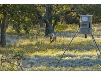 Farm For Sale in Fredericksburg, Texas