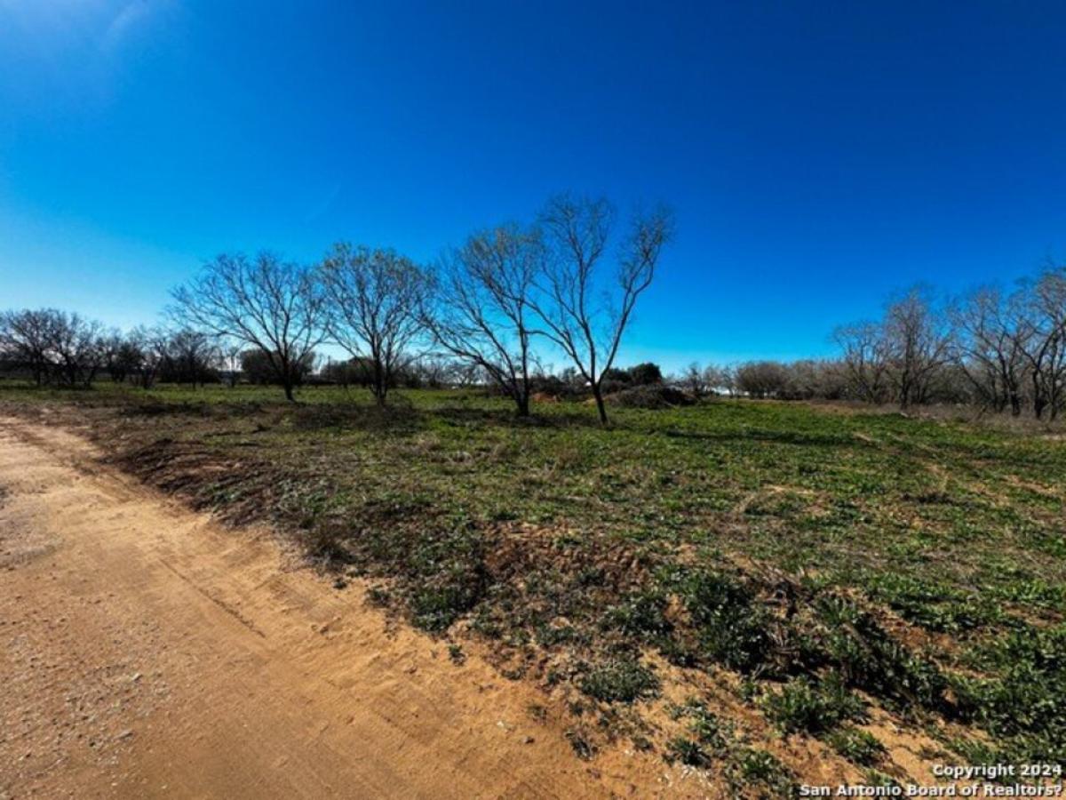 Picture of Residential Land For Sale in Elmendorf, Texas, United States