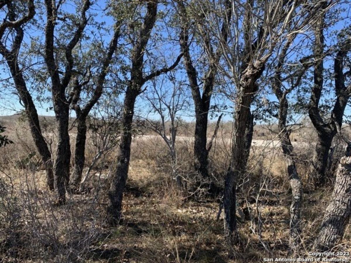 Picture of Residential Land For Sale in Uvalde, Texas, United States