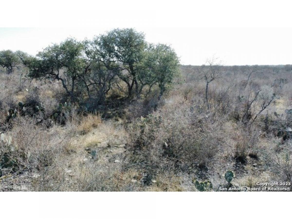 Picture of Residential Land For Sale in Uvalde, Texas, United States