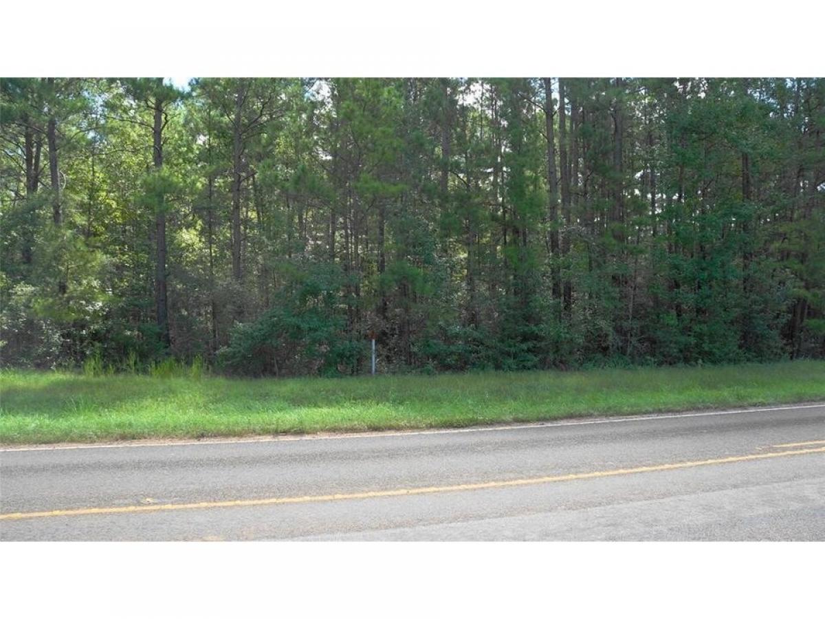 Picture of Residential Land For Sale in Willis, Texas, United States