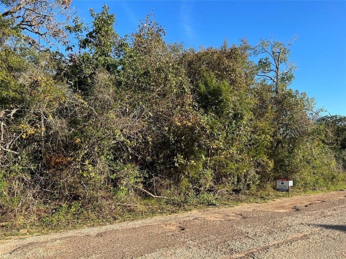 Picture of Residential Land For Sale in Hempstead, Texas, United States