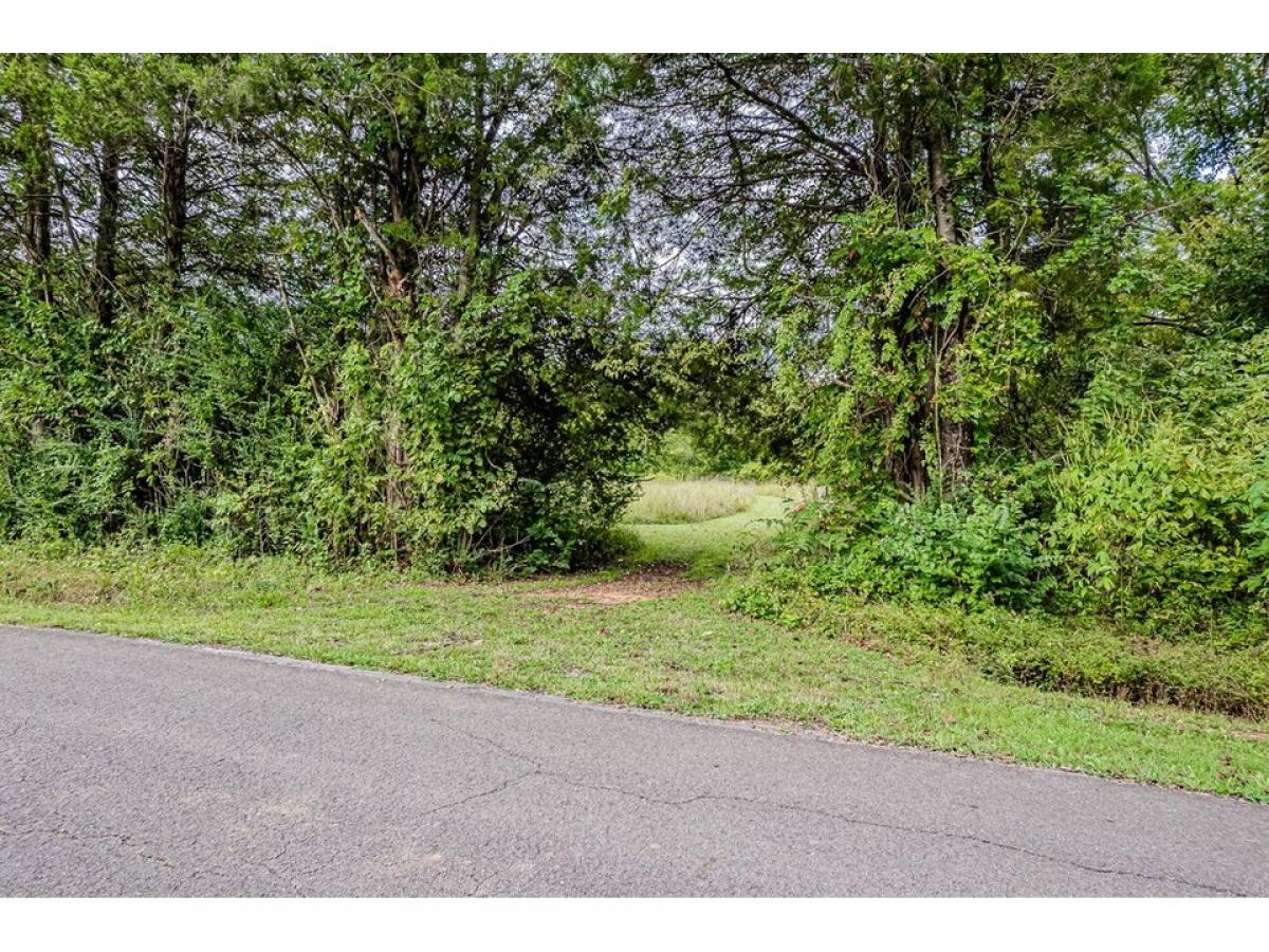 Picture of Residential Land For Sale in Englewood, Tennessee, United States