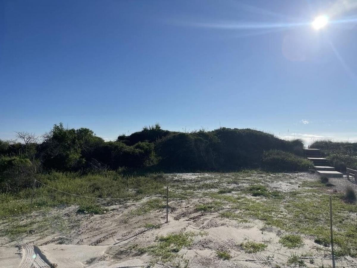 Picture of Residential Land For Sale in Cape San Blas, Florida, United States