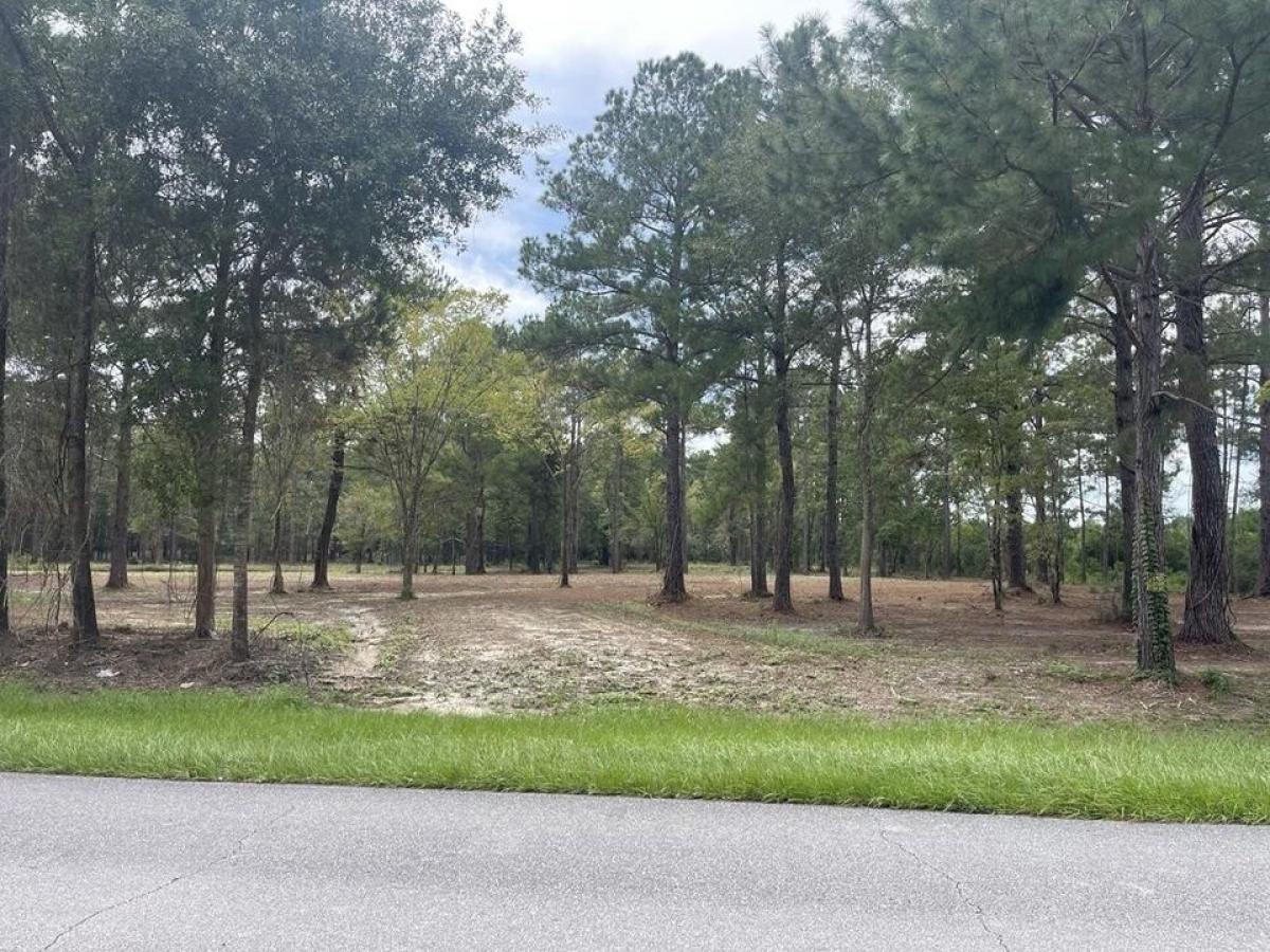 Picture of Residential Land For Sale in Wewahitchka, Florida, United States