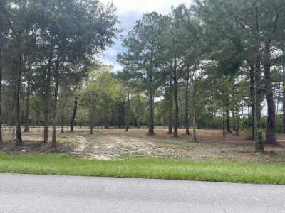 Residential Land For Sale in Wewahitchka, Florida