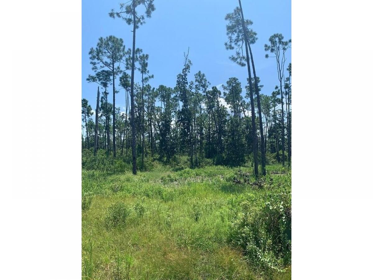 Picture of Residential Land For Sale in Panama City, Florida, United States