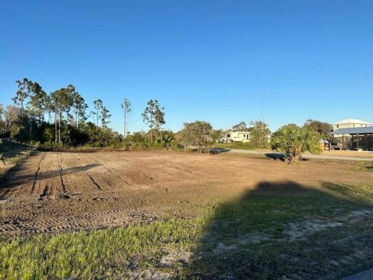 Picture of Residential Land For Sale in Port Saint Joe, Florida, United States