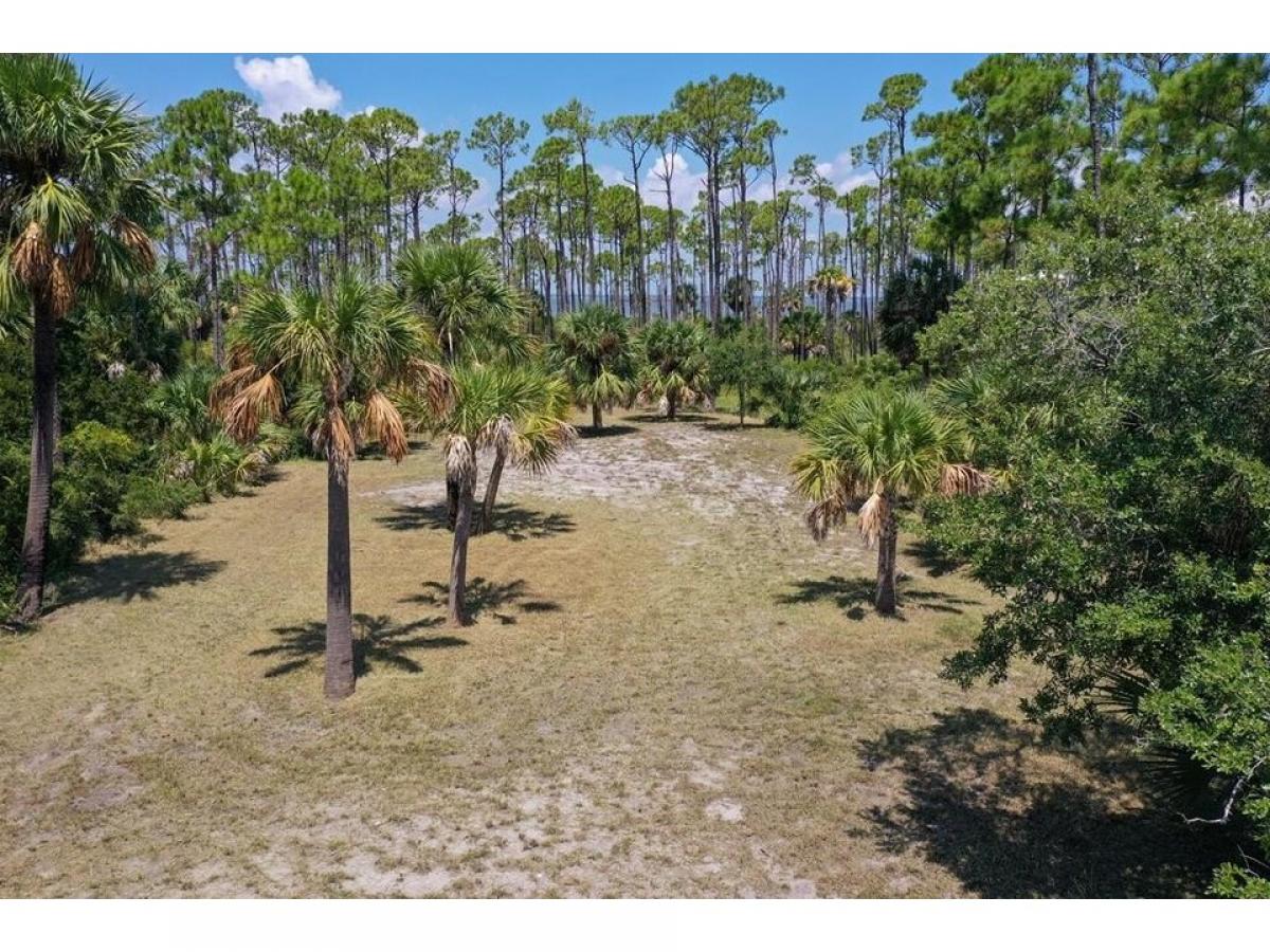 Picture of Residential Land For Sale in Saint George Island, Florida, United States