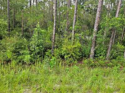 Residential Land For Sale in Wewahitchka, Florida