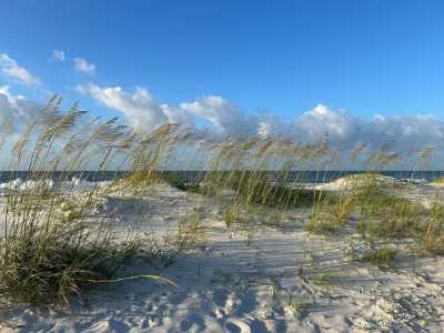 Residential Land For Sale in Carrabelle, Florida