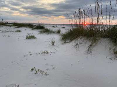 Residential Land For Sale in Carrabelle, Florida