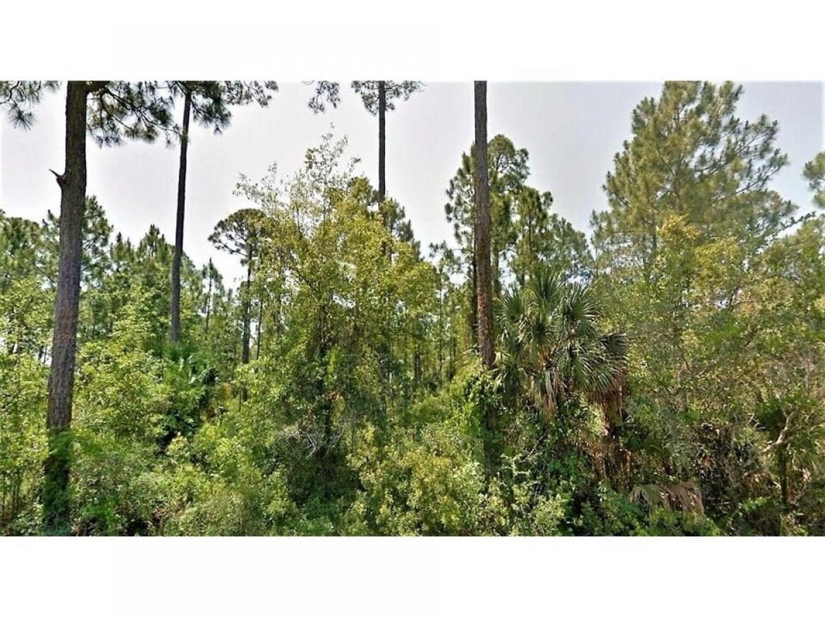 Picture of Residential Land For Sale in Port Saint Joe, Florida, United States