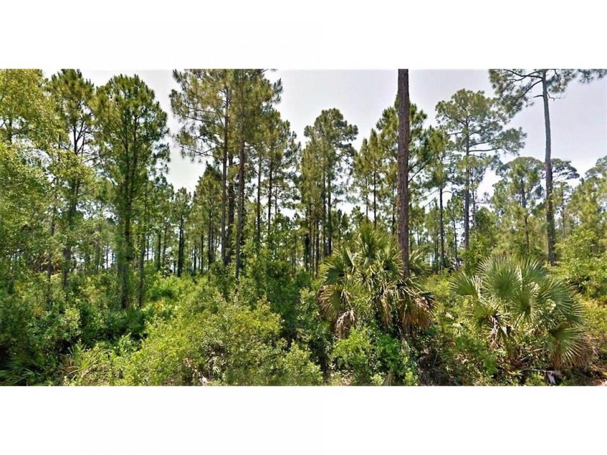 Picture of Residential Land For Sale in Port Saint Joe, Florida, United States