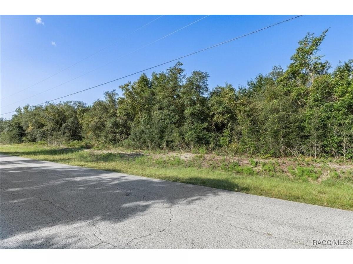 Picture of Residential Land For Sale in Dunnellon, Florida, United States