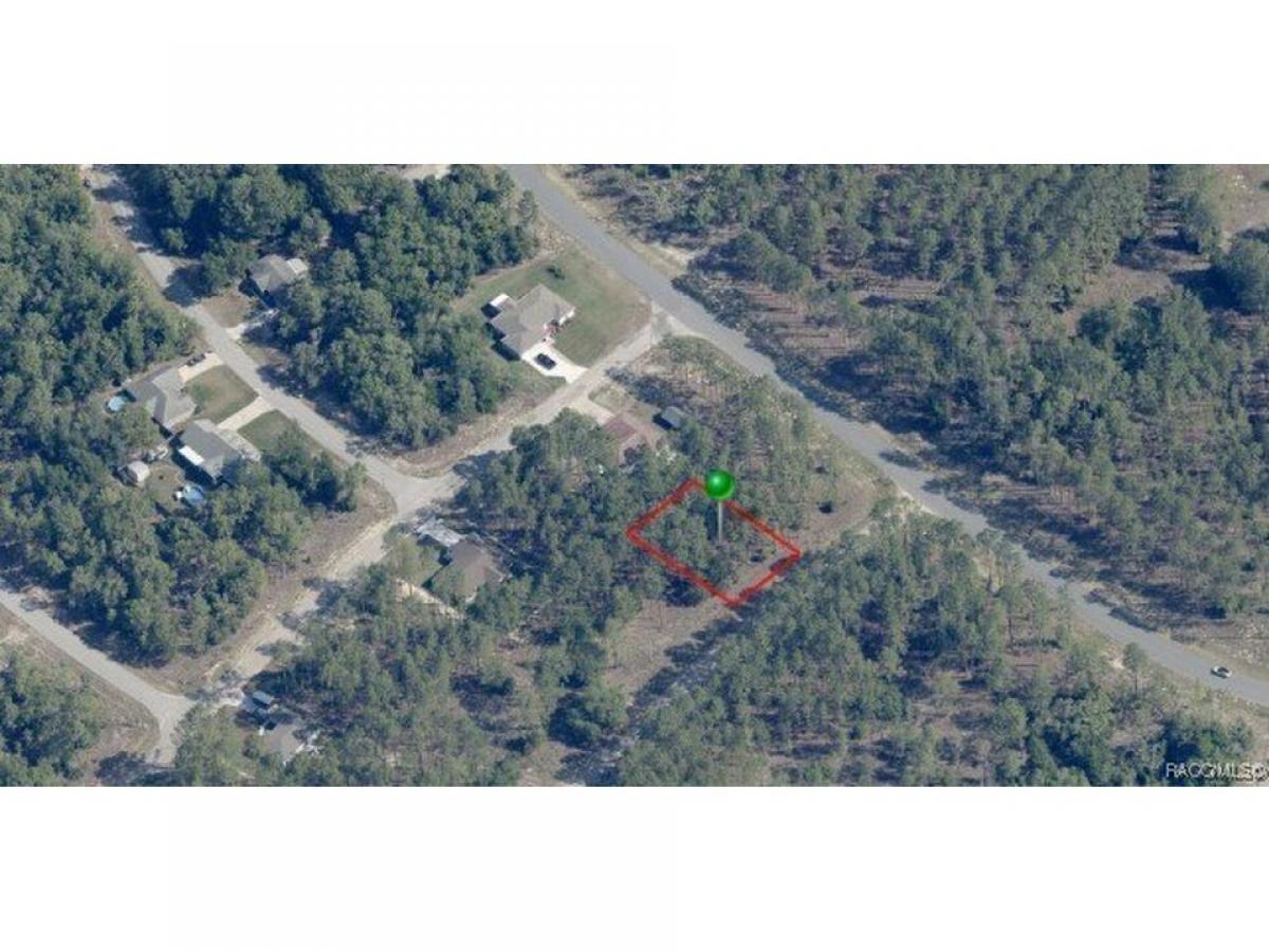 Picture of Residential Land For Sale in Citrus Springs, Florida, United States