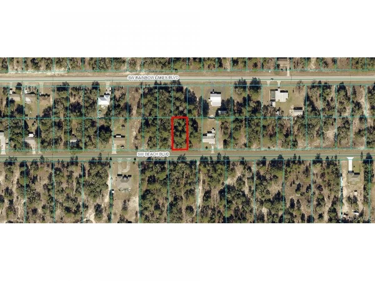 Picture of Residential Land For Sale in Dunnellon, Florida, United States