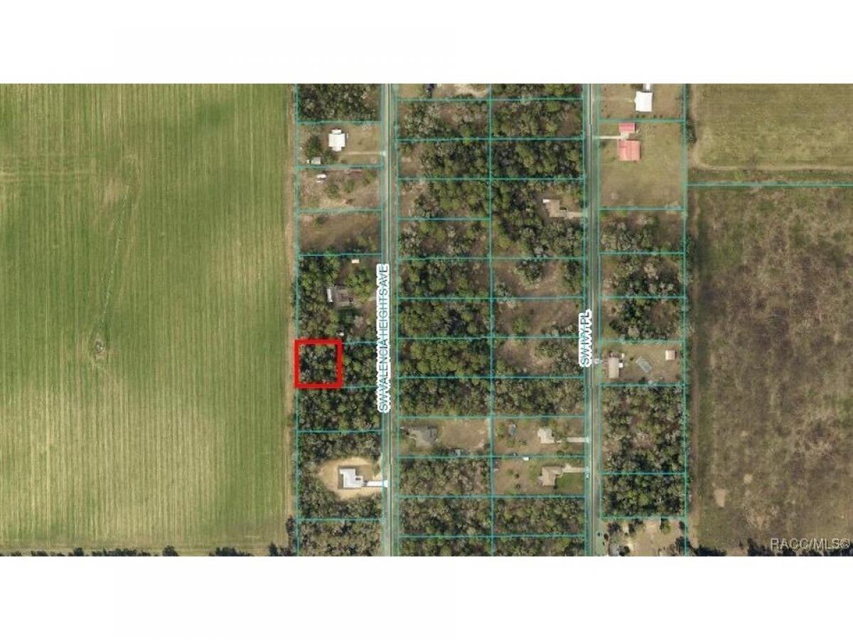 Picture of Residential Land For Sale in Dunnellon, Florida, United States