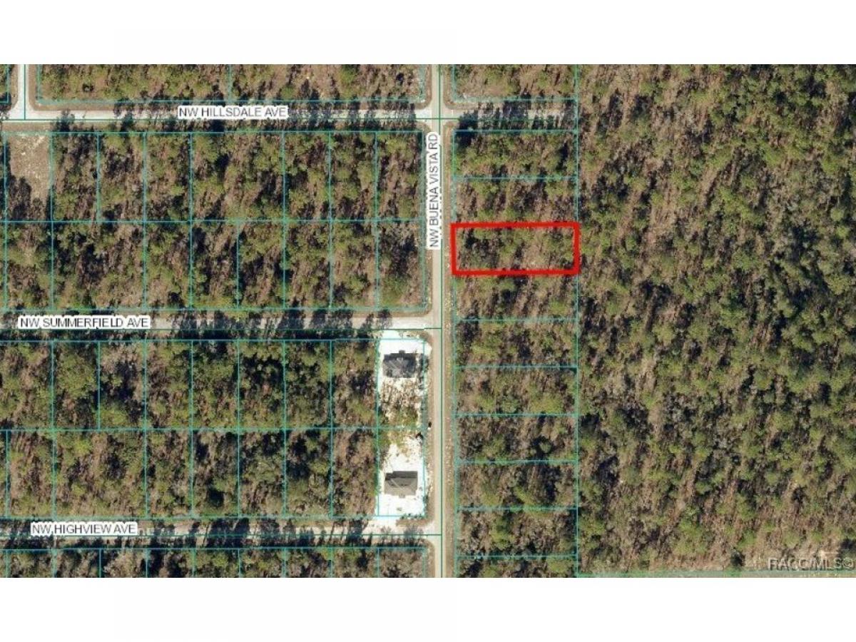 Picture of Residential Land For Sale in Dunnellon, Florida, United States