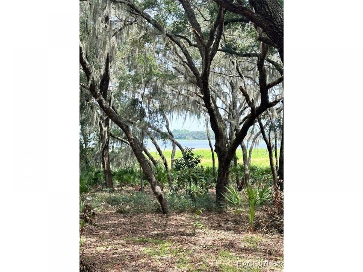 Picture of Residential Land For Sale in Dunnellon, Florida, United States