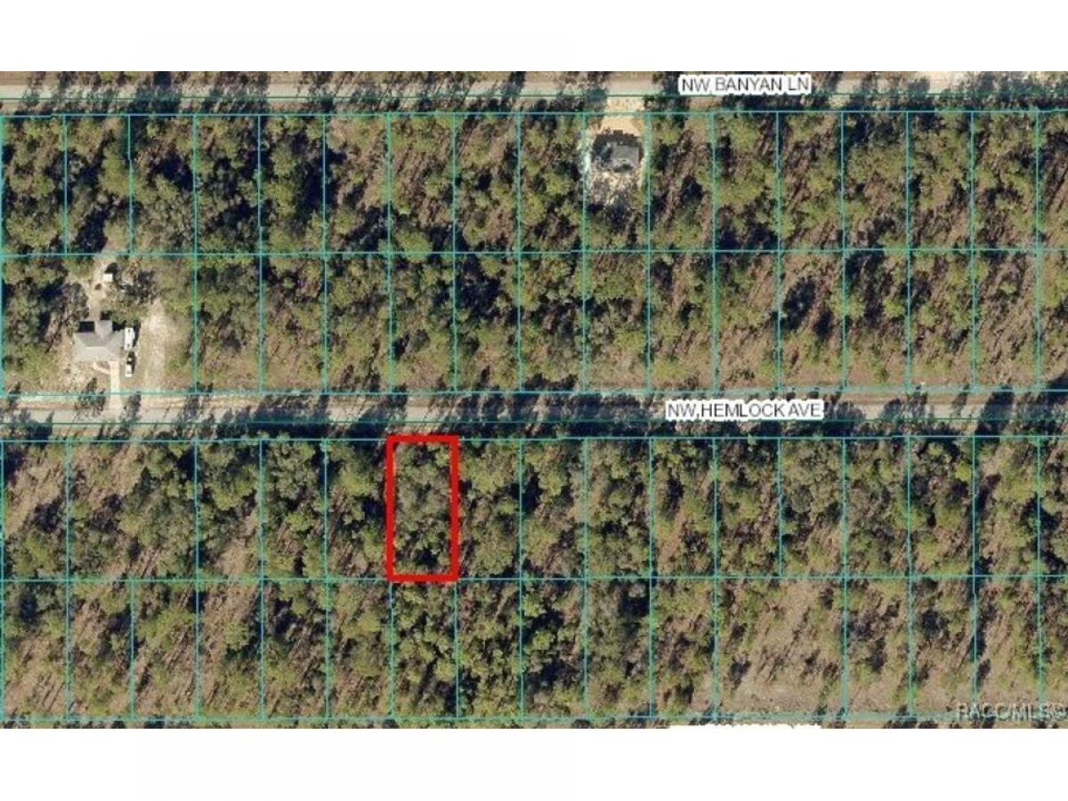 Picture of Residential Land For Sale in Dunnellon, Florida, United States