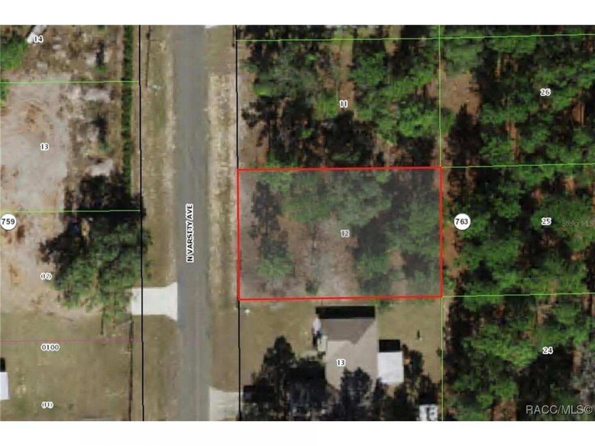 Picture of Residential Land For Sale in Citrus Springs, Florida, United States