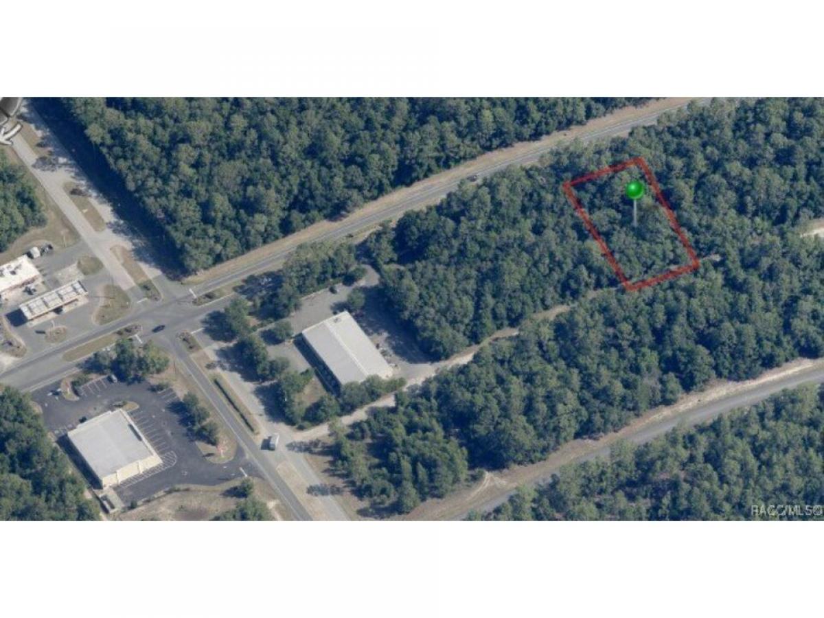 Picture of Residential Land For Sale in Citrus Springs, Florida, United States