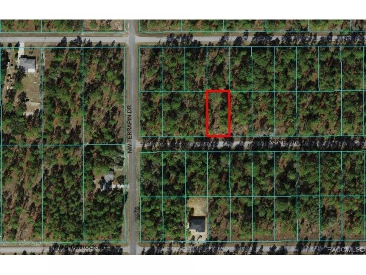 Picture of Residential Land For Sale in Dunnellon, Florida, United States