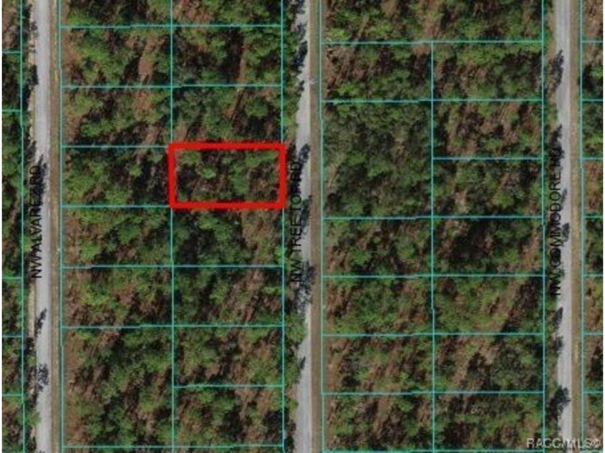 Picture of Residential Land For Sale in Dunnellon, Florida, United States